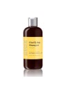 iGROOM Clarifying Shampoo Pine Apple Scent Shampoo