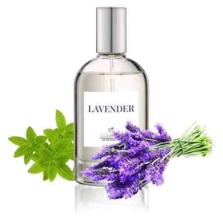 iGROOM Lavender Perfume