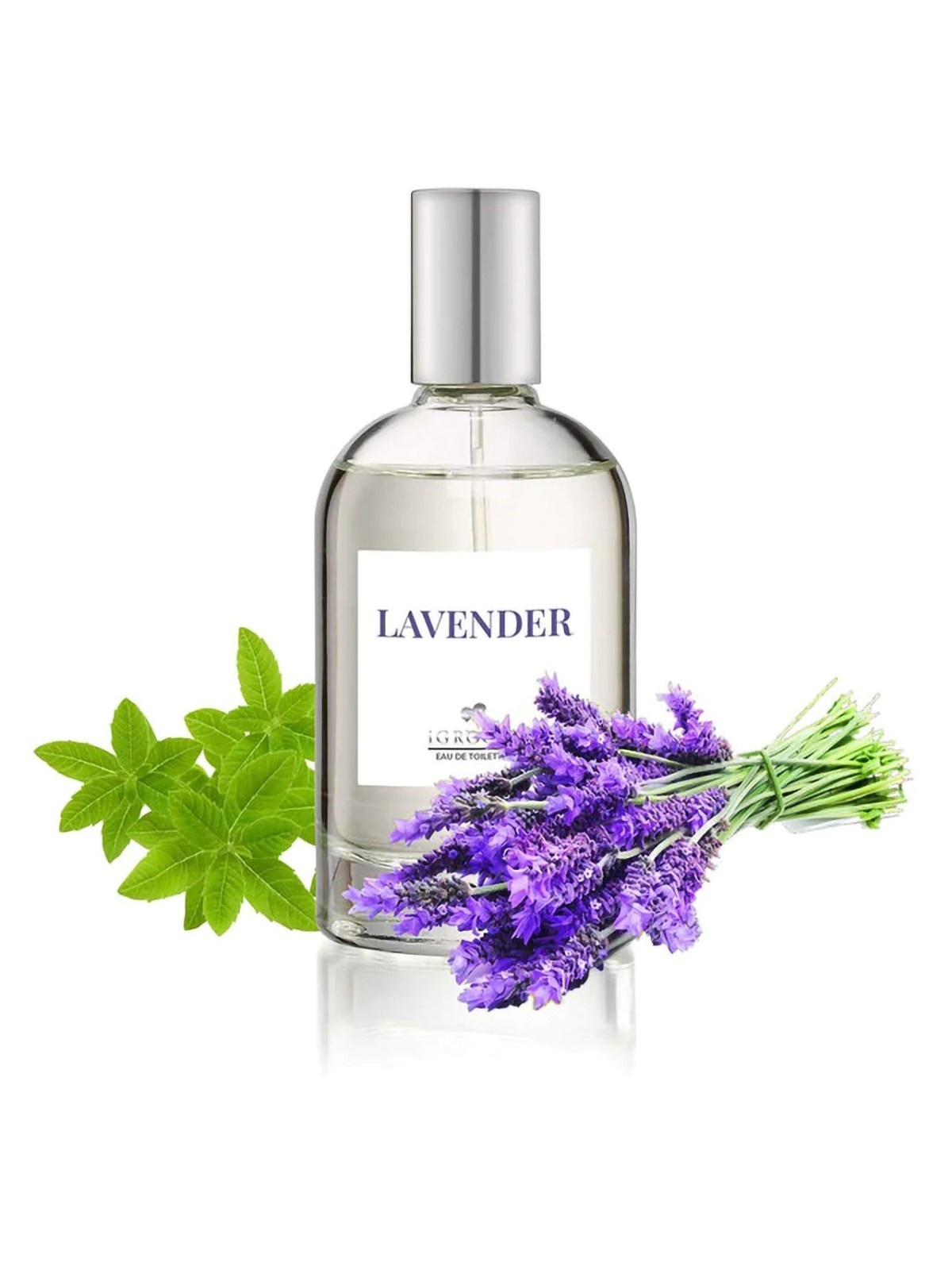 iGROOM Lavender Perfume