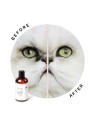 Eye Envy Tear Stain Remover Solution for Cats