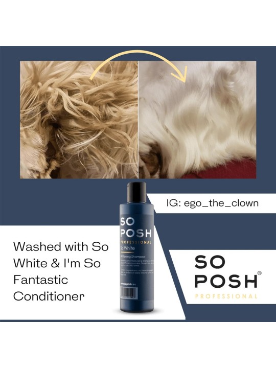 So Posh So White Shampoo