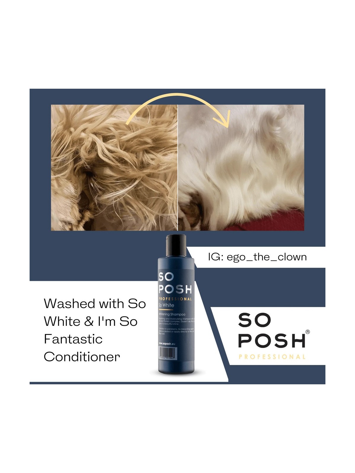 So Posh So White Shampoo